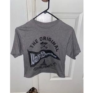 Gray crop top disney shirt